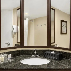 Отель Wingate by Wyndham Richardson 3* Стандартный номер с различными типами кроватей