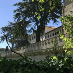Отель Grottaferrata Cielo Италия, Гроттаферрата - отзывы, цены и фото номеров - забронировать отель Grottaferrata Cielo онлайн