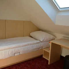 Hotel Pivovar 3* Номер Эконом с разными типами кроватей фото 3