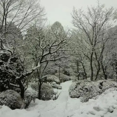 Отель Umeyashiki Ryokan Никко фото 3