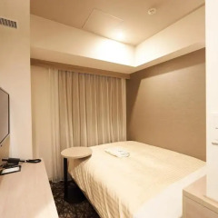 Отель Sotetsu Fresa Inn Ginza-Nanachome 3* Номер с различными типами кроватей фото 5