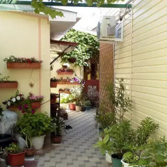 Гостиница Letuchaya Mish фото 7