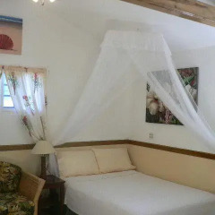 Отель The Gardens Utila Апартаменты с различными типами кроватей фото 11