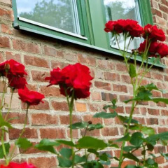 Kviberg Hostel And Cottages Гётеборг
