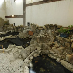Отель Ryokan Ohashi Мисаса бассейн