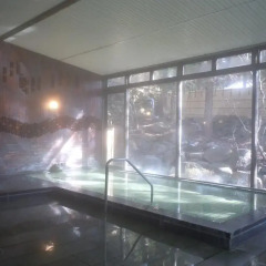 Hotel Seikoen Никко бассейн фото 2