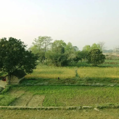 Отель Lumbini International Непал, Сиддхартханагар - отзывы, цены и фото номеров - забронировать отель Lumbini International онлайн