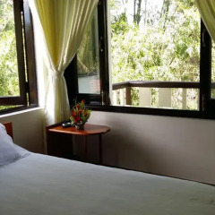 Отель CoCo Riverside Homestay Хойан комната для гостей фото 5