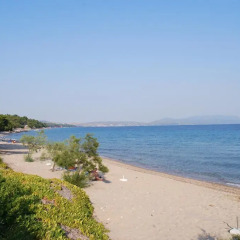 Отель Amari Hotel Греция, Метаморфоси - отзывы, цены и фото номеров - забронировать отель Amari Hotel онлайн пляж
