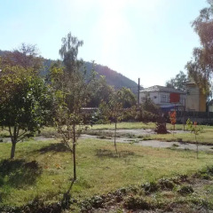 Отель Mountain Camping Rila Болгария, Рила - отзывы, цены и фото номеров - забронировать отель Mountain Camping Rila онлайн фото 2