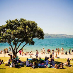 Отель InterContinental Wellington пляж