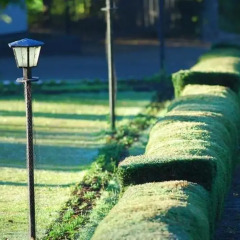 Отель Jetwing St.Andrews Шри-Ланка, Нувара-Элия - отзывы, цены и фото номеров - забронировать отель Jetwing St.Andrews онлайн приотельная территория
