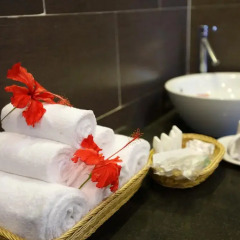 Отель Green Tea Homestay 2* Стандартный номер с различными типами кроватей фото 3