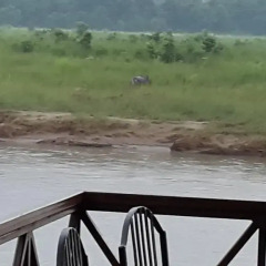 Отель Jungle Wildlife Camp Непал, Саураха - отзывы, цены и фото номеров - забронировать отель Jungle Wildlife Camp онлайн пляж фото 2