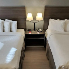 Отель Econo Lodge South Calgary Канада, Калгари - отзывы, цены и фото номеров - забронировать отель Econo Lodge South Calgary онлайн комната для гостей фото 4