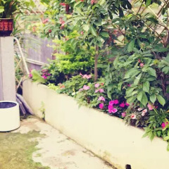 Отель Catalpa Garden Youth Hostel Китай, Гуанчжоу - отзывы, цены и фото номеров - забронировать отель Catalpa Garden Youth Hostel онлайн фото 3
