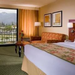 Отель Courtyard by Marriott Los Angeles Pasadena/Monrovia 3* Стандартный номер с различными типами кроватей фото 3