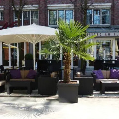 Steigenberger Hotel Hamburg Гамбург фото 3