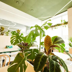Cynamon Hostel интерьер отеля