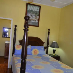 Отель Little Shaw Park Guest House 2* Апартаменты с различными типами кроватей фото 2