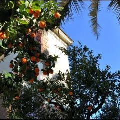 Отель Lodi Италия, Рим - отзывы, цены и фото номеров - забронировать отель Lodi онлайн