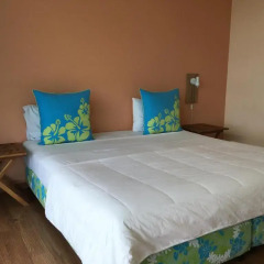 Отель Tahiti Airport Motel Французская Полинезия, Фааа - 1 отзыв об отеле, цены и фото номеров - забронировать отель Tahiti Airport Motel онлайн комната для гостей фото 3