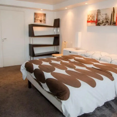 Отель Duplex vue Seine quai des grands Augustins комната для гостей фото 5