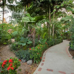 Bahia del Sol Beach Front Boutique Hotel фото 12