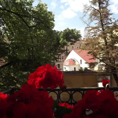 Отель B&B Florens