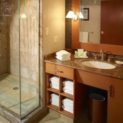 Отель Seneca Niagara Resort & Casino США, Ниагара-Фолс - отзывы, цены и фото номеров - забронировать отель Seneca Niagara Resort & Casino онлайн ванная