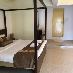 Отель Alegria - The Goan Village 2* Номер Делюкс с двуспальной кроватью фото 2