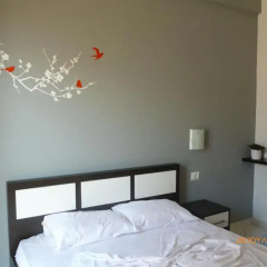 Hotel Summer Dream 3* Номер категории Эконом с различными типами кроватей