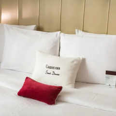 Гостиница DoubleTree by Hilton Novosibirsk 4* Стандартный номер с разными типами кроватей фото 8