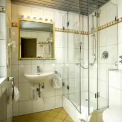 Hotel Ludwig Superior 3* Стандартный номер с различными типами кроватей фото 5
