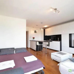 Отель Dream Loft Vistula 3* Студия с различными типами кроватей фото 11