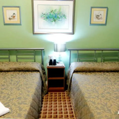 Отель Corbigoe Hotel Великобритания, Лондон - 1 отзыв об отеле, цены и фото номеров - забронировать отель Corbigoe Hotel онлайн комната для гостей фото 4