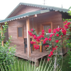 Отель Cirali Almira Bungalow 2* Бунгало с различными типами кроватей фото 2