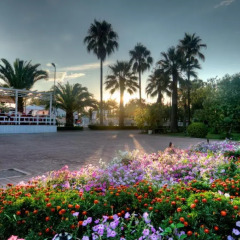 Отель Tropikal Resort Дуррес фото 8