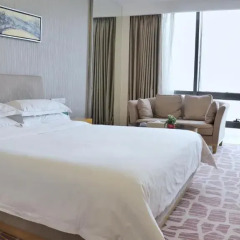 Huaqiang Plaza Hotel Shenzhen 4* Номер Делюкс с различными типами кроватей фото 7