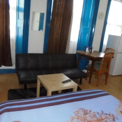 Отель Goddis Lodge Лондон комната для гостей