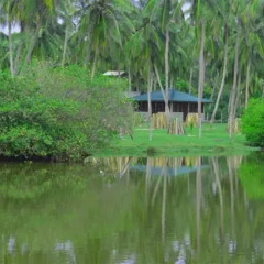 Отель Aqua Front Yala Resort 3* Стандартный номер с различными типами кроватей фото 5