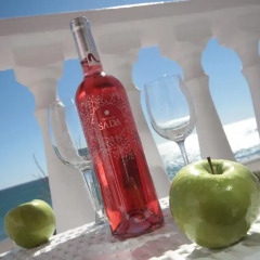 Hotel Mediterraneo Carihuela гостиничный бар