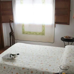 Отель La Casa De Los Gatos Канталохас в номере