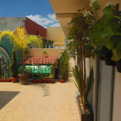 Отель Hostal Centro Historico Oasis Мехико фото 5