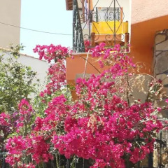 Hotel Olympos фото 7