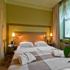 Отель BEST BALTIC SPA Hotel Druskininkai Central Литва, Друскининкай - 5 отзывов об отеле, цены и фото номеров - забронировать отель BEST BALTIC SPA Hotel Druskininkai Central онлайн комната для гостей фото 5