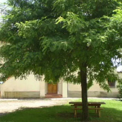 Отель Agriturismo Montassi E Bruscolaio Монтеварчи