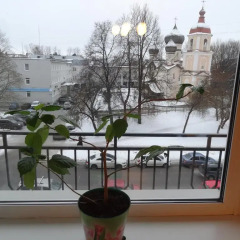 Гостиница Уют на Стратилатовской в Великом Новгороде отзывы, цены и фото номеров - забронировать гостиницу Уют на Стратилатовской онлайн Великий Новгород балкон