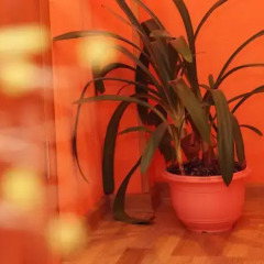 Big Bang Hostel сауна