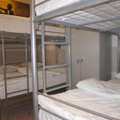 Chicago Hostel Кровать в мужском общем номере с двухъярусной кроватью